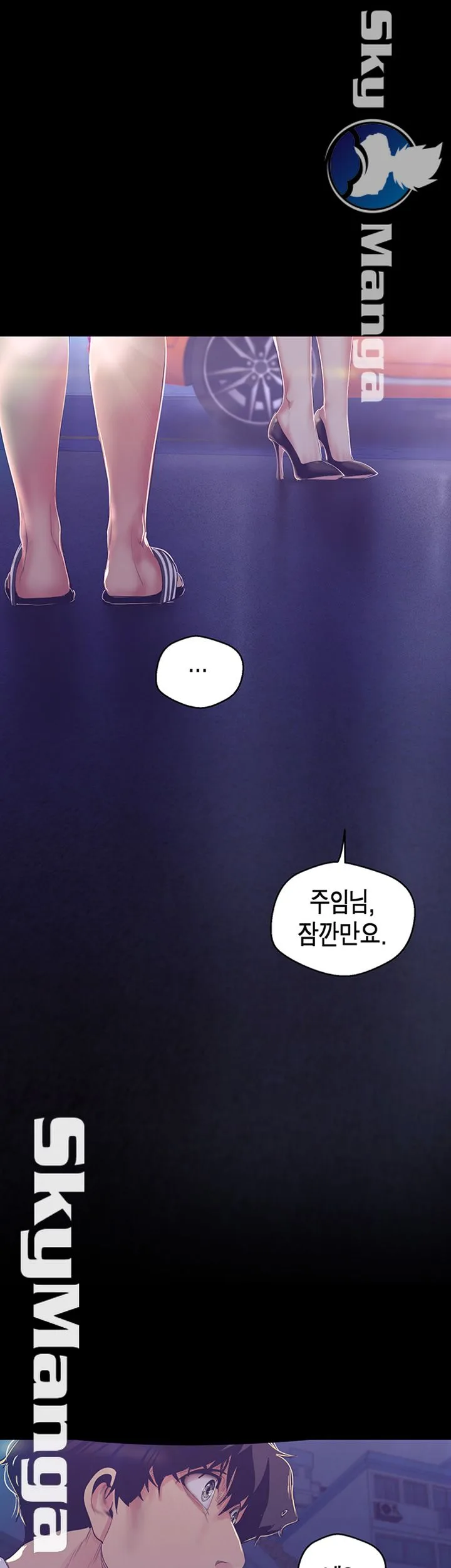 Chapter 95, page 29